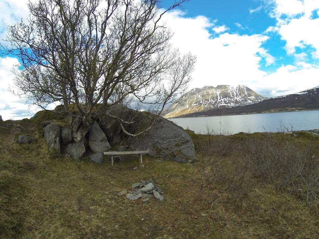 Nord-Lenangen Lyngen Fjordcamp 빌라 외부 사진